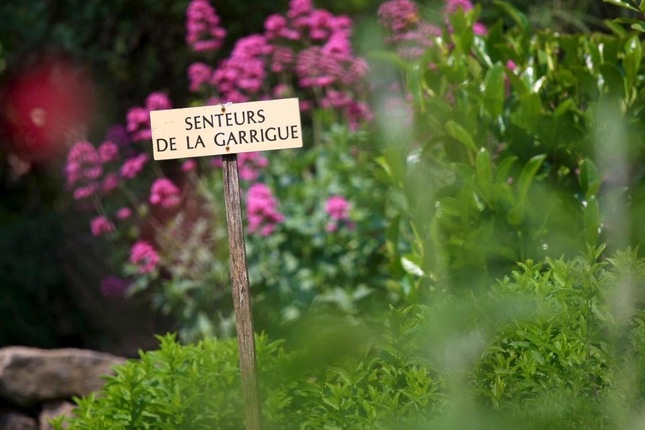 Maison De Village La Clemaline Figanières Exterior foto